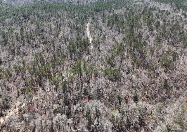 Land for sale at 00 Old Meriwether Trl, Panola, AL 36046 | MLS# 585039