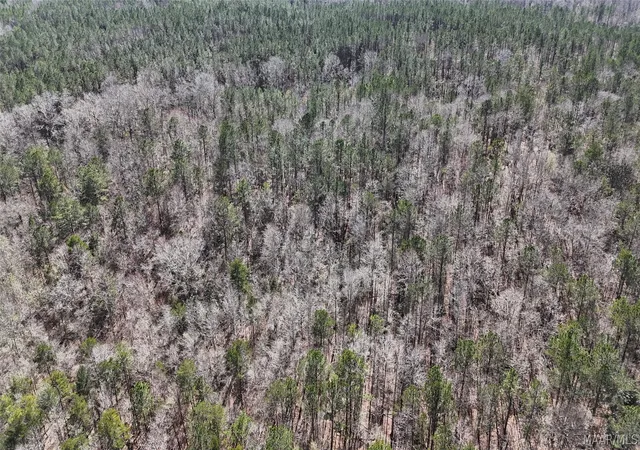 Photo 3 of Land for sale at 00 Old Meriwether Trl, Panola, AL 36046 | MLS# 585039 | Listing updated on 2026-09-11