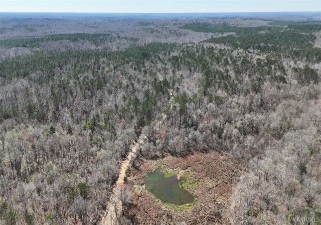 Photo 3 of Land for sale at 00 Old Meriwether Trl, Panola, AL 36046 | MLS# 585039 | Listing updated on 2026-09-11