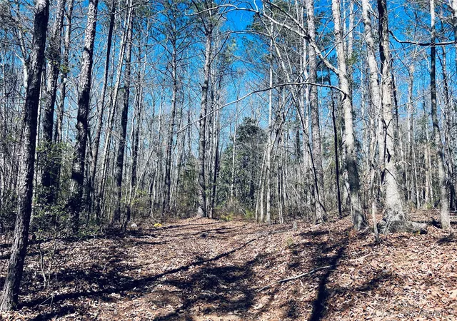 Photo 4 of Land for sale at 00 Old Meriwether Trl, Panola, AL 36046 | MLS# 585039 | Listing updated on 2026-09-11