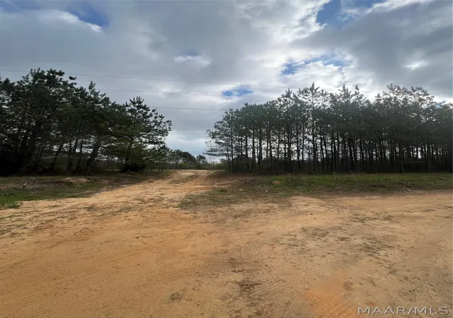 Photo 1 of Land for sale at 0000 Highway 82, Billingsley, AL 36066 | MLS# 585115 | Listing updated on 2026-08-29