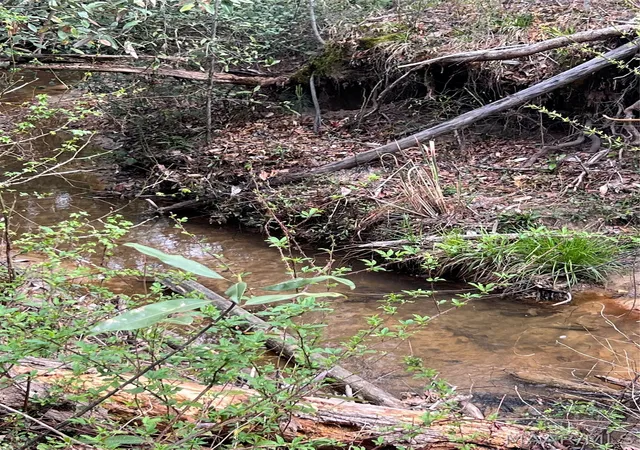 Photo 2 of Land for sale at 0000 Highway 82, Billingsley, AL 36066 | MLS# 585115 | Listing updated on 2026-08-29