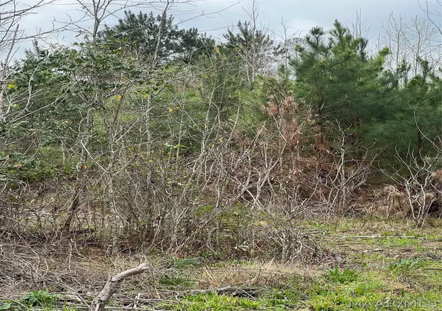 Photo 3 of Land for sale at 0000 Highway 82, Billingsley, AL 36066 | MLS# 585115 | Listing updated on 2026-08-29
