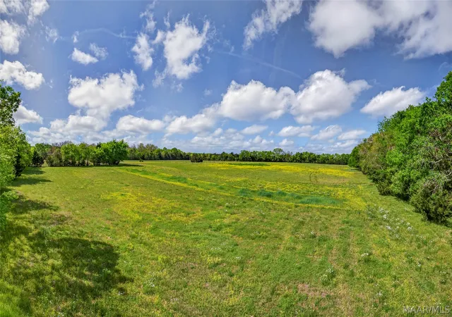 Photo 3 of Land for sale at 0 Stehle Ln, Hope Hull, AL 36043 | MLS# 585465 | Listing updated on 2026-09-05