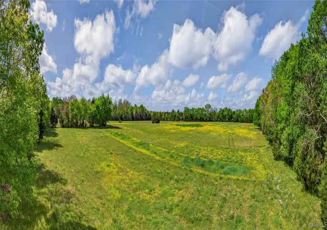 Photo 4 of Land for sale at 0 Stehle Ln, Hope Hull, AL 36043 | MLS# 585465 | Listing updated on 2026-09-05