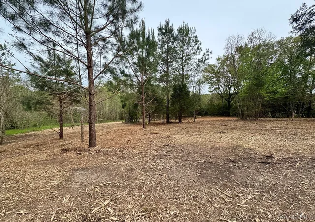Land for sale at 10 Sprague Jct Rd W, Ramer, AL 36069 | MLS# 585747