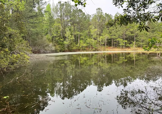 Photo 2 of Land for sale at 10 Sprague Jct Rd W, Ramer, AL 36069 | MLS# 585747 | Listing updated on 2026-09-25