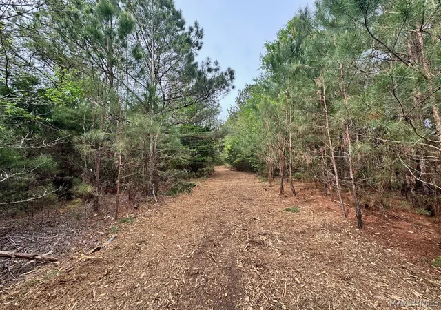 Photo 4 of Land for sale at 10 Sprague Jct Rd W, Ramer, AL 36069 | MLS# 585747 | Listing updated on 2026-09-25