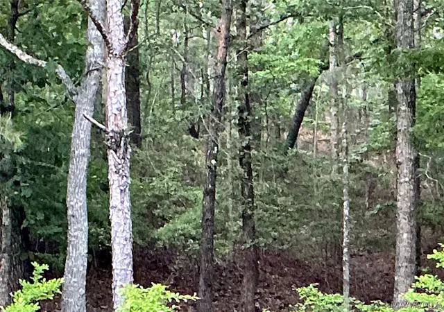 Photo 1 of Land for sale at 148 Jasmine Ridge Rd, Wetumpka, AL 36093 | MLS# 585055 | Listing updated on 2026-09-04