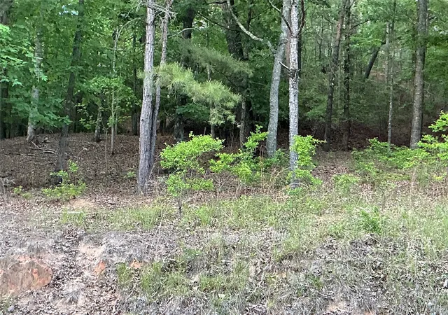 Photo 2 of Land for sale at 148 Jasmine Ridge Rd, Wetumpka, AL 36093 | MLS# 585055 | Listing updated on 2026-09-04