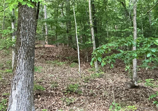 Photo 3 of Land for sale at 148 Jasmine Ridge Rd, Wetumpka, AL 36093 | MLS# 585055 | Listing updated on 2026-09-04