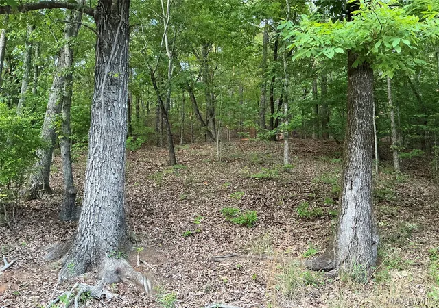 Photo 3 of Land for sale at 148 Jasmine Ridge Rd, Wetumpka, AL 36093 | MLS# 585055 | Listing updated on 2026-09-04