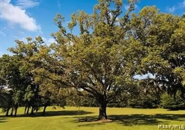 Photo 1 of Land for sale at Lot 2 Oak View Dr, Pike Road, AL 36064 | MLS# 585936 | Listing updated on 2026-09-11
