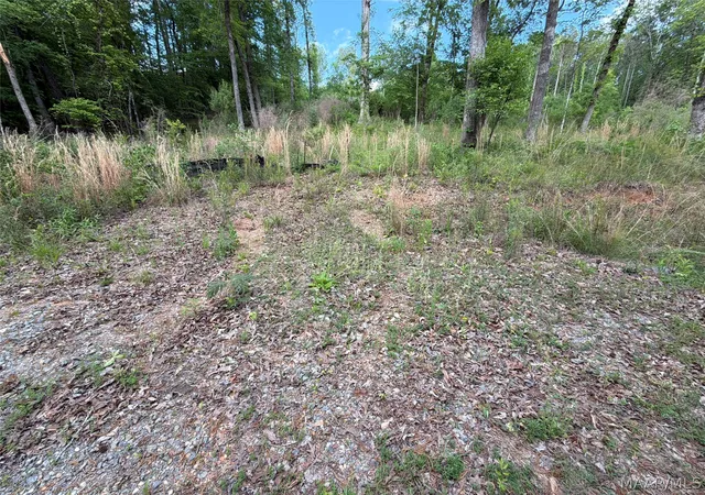 Photo 3 of Land for sale at 0 Shady Acres Rd, Titus, AL 36080 | MLS# 586052 | Listing updated on 2026-09-04