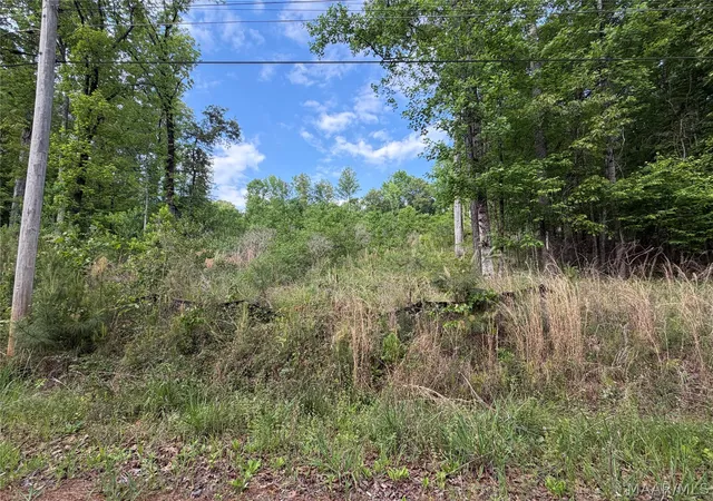 Photo 3 of Land for sale at 0 Shady Acres Rd, Titus, AL 36080 | MLS# 586052 | Listing updated on 2026-10-03