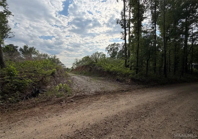 Photo 4 of Land for sale at 0 Shady Acres Rd, Titus, AL 36080 | MLS# 586052 | Listing updated on 2026-10-03