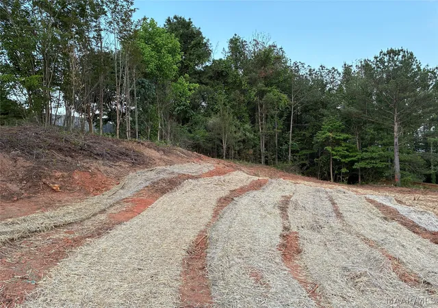 Photo 1 of Land for sale at 161 Forest Mountain Dr, Wetumpka, AL 36093 | MLS# 586168 | Listing updated on 2026-09-05