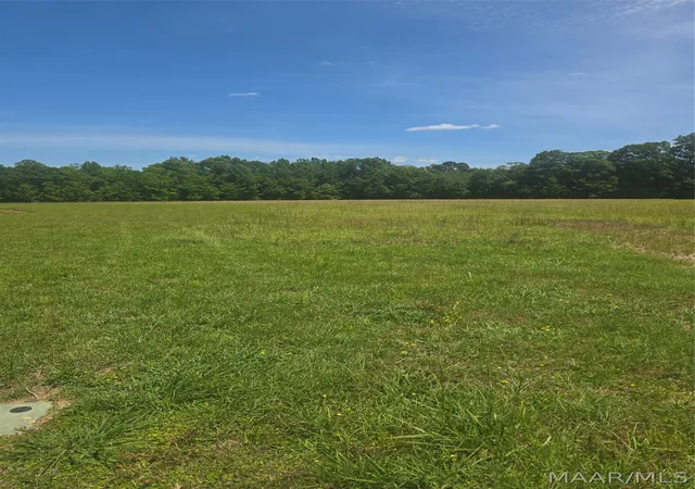 Photo 3 of Land for sale at 215 Crossing Ln, Pike Road, AL 36064 | MLS# 586455 | Listing updated on 2026-09-02