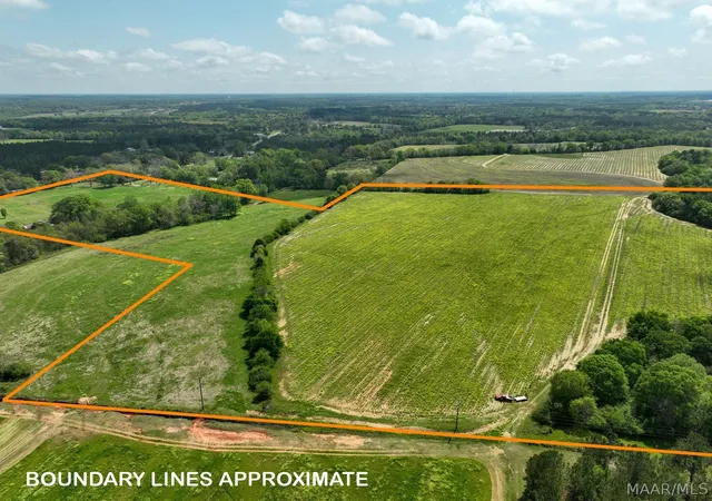 Photo 16 of Land for sale at 80 Omussee Rd, Dothan, AL 36303 | MLS# 586547 | Listing updated on 2026-09-05