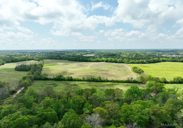 Photo 4 of Land for sale at 80 Omussee Rd, Dothan, AL 36303 | MLS# 586547 | Listing updated on 2026-09-05