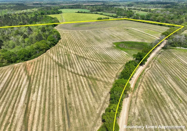 Photo 1 of Land for sale at 85 Omussee Rd, Dothan, AL 36303 | MLS# 586549 | Listing updated on 2026-09-05