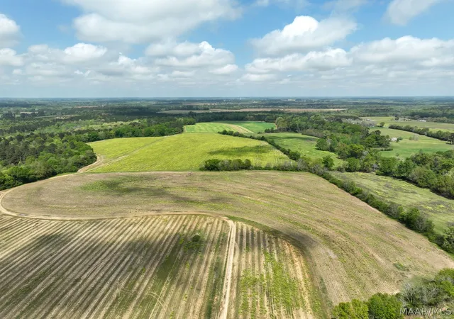 Photo 2 of Land for sale at 85 Omussee Rd, Dothan, AL 36303 | MLS# 586549 | Listing updated on 2026-09-05