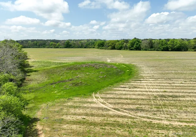 Photo 2 of Land for sale at 85 Omussee Rd, Dothan, AL 36303 | MLS# 586549 | Listing updated on 2026-09-05
