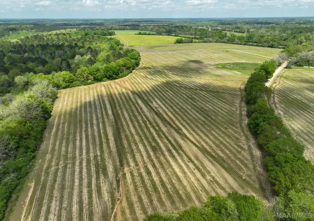 Photo 3 of Land for sale at 85 Omussee Rd, Dothan, AL 36303 | MLS# 586549 | Listing updated on 2026-09-05