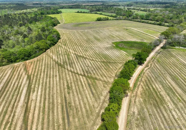 Photo 4 of Land for sale at 85 Omussee Rd, Dothan, AL 36303 | MLS# 586549 | Listing updated on 2026-09-05