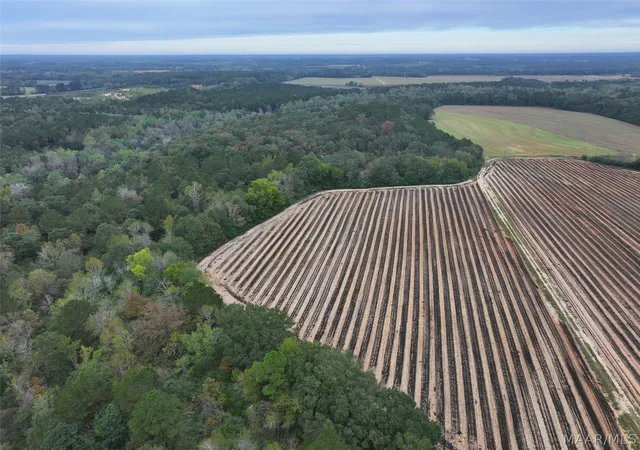 Photo 7 of Land for sale at 85 Omussee Rd, Dothan, AL 36303 | MLS# 586549 | Listing updated on 2026-09-05