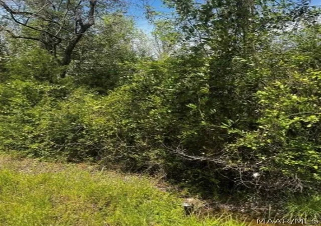Photo 1 of Land for sale at 0 County Rd 40 Route W, Prattville, AL 36067 | MLS# 586786 | Listing updated on 2026-09-10