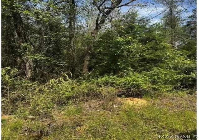 Photo 2 of Land for sale at 0 County Rd 40 Route W, Prattville, AL 36067 | MLS# 586786 | Listing updated on 2026-09-10