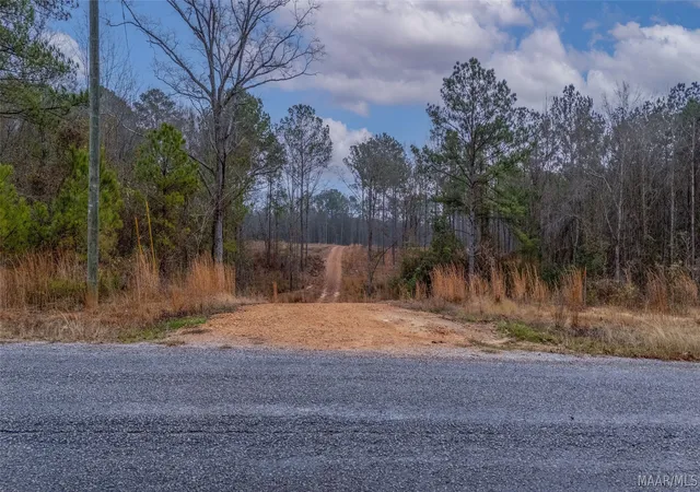 Photo 3 of Land for sale at 272 Shadow Wood Ln, Wetumpka, AL 36092 | MLS# 586808 | Listing updated on 2026-09-02