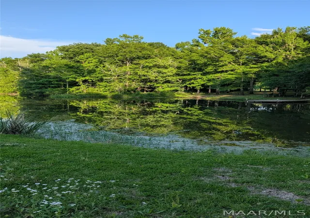 Photo 2 of Sale Pending at 26 River Oaks Landing, Orrville, AL 36767 | MLS# 587132 | Listing updated on 2026-09-03