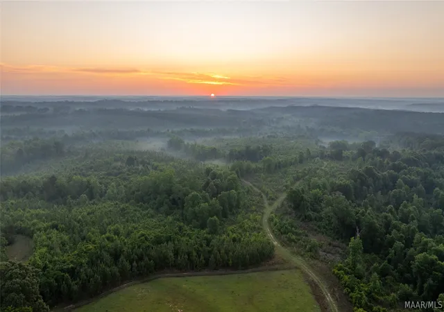 Photo 3 of Land for sale at 7404 Highway 141, Elba, AL 36323 | MLS# 586996 | Listing updated on 2026-09-05
