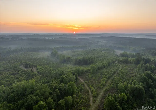 Photo 3 of Land for sale at 7404 Highway 141, Elba, AL 36323 | MLS# 586996 | Listing updated on 2026-09-05