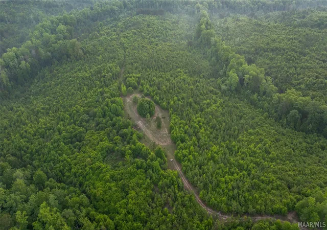 Photo 4 of Land for sale at 7404 Highway 141, Elba, AL 36323 | MLS# 586996 | Listing updated on 2026-09-05