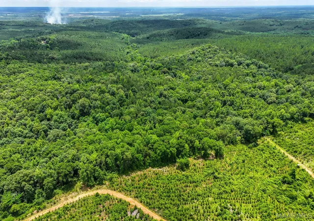 Photo 1 of Land for sale at 00 County Rd 165, Prattville, AL 36067 | MLS# 587325 | Listing updated on 2026-09-05