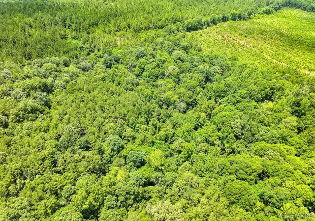 Photo 3 of Land for sale at 00 County Rd 165, Prattville, AL 36067 | MLS# 587325 | Listing updated on 2026-09-05