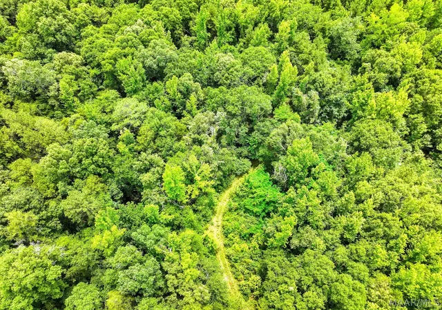Photo 4 of Land for sale at 00 County Rd 165, Prattville, AL 36067 | MLS# 587325 | Listing updated on 2026-09-05