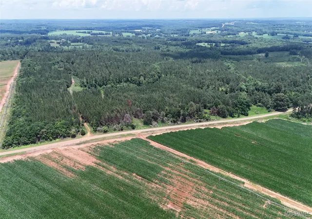 Photo 1 of Land for sale at 154 County Rd 38 Acres, Banks, AL 36005 | MLS# 587511 | Listing updated on 2026-09-05