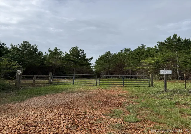 Photo 3 of Land for sale at 154 County Rd 38 Acres, Banks, AL 36005 | MLS# 587511 | Listing updated on 2026-09-05