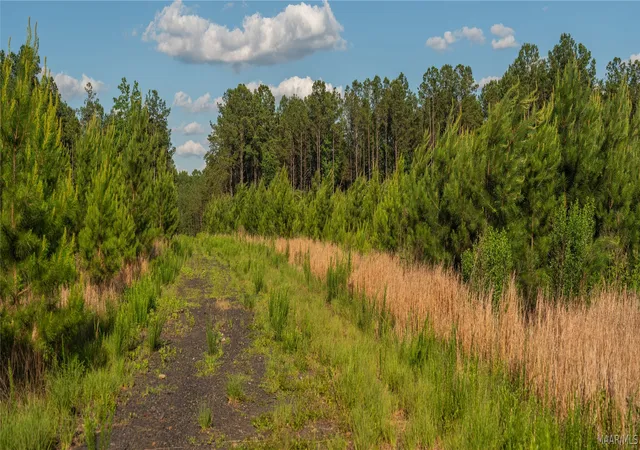 Land for sale at 0 Milldale Rd, Brookwood, AL 35444 | MLS# 587560