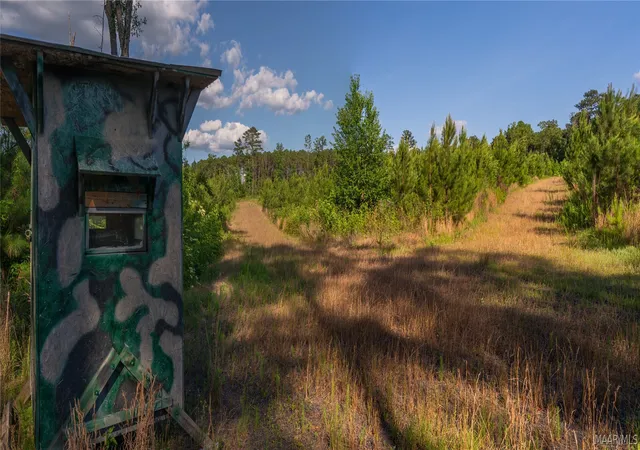 Photo 2 of Land for sale at 0 Milldale Rd, Brookwood, AL 35444 | MLS# 587560 | Listing updated on 2026-09-05