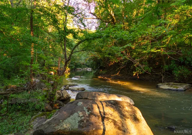 Photo 3 of Land for sale at 0 Milldale Rd, Brookwood, AL 35444 | MLS# 587560 | Listing updated on 2026-09-05
