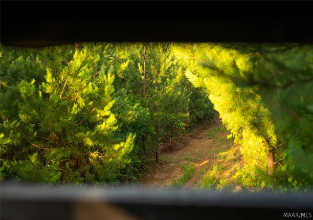 Photo 3 of Land for sale at 1 Milldale Rd, Brookwood, AL 35444 | MLS# 587623 | Listing updated on 2026-09-05