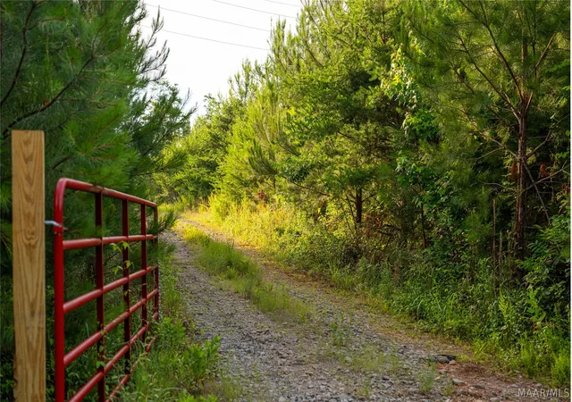 Photo 3 of Land for sale at 1 Milldale Rd, Brookwood, AL 35444 | MLS# 587623 | Listing updated on 2026-09-05