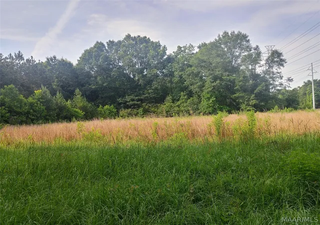 Photo 3 of Land for sale at 0 Old Hayneville Rd, Montgomery, AL 36108 | MLS# 587251 | Listing updated on 2026-09-05