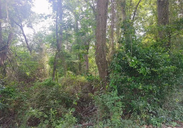 Land for sale at 00 Old Hayneville Rd, Montgomery, AL 36108 | MLS# 587649