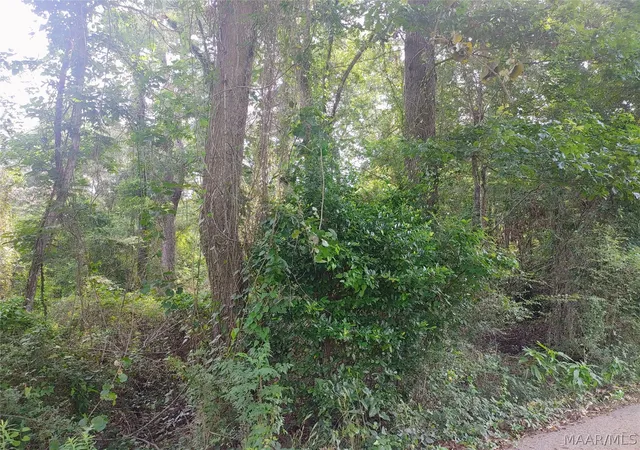 Photo 3 of Land for sale at 00 Old Hayneville Rd, Montgomery, AL 36108 | MLS# 587649 | Listing updated on 2026-09-05